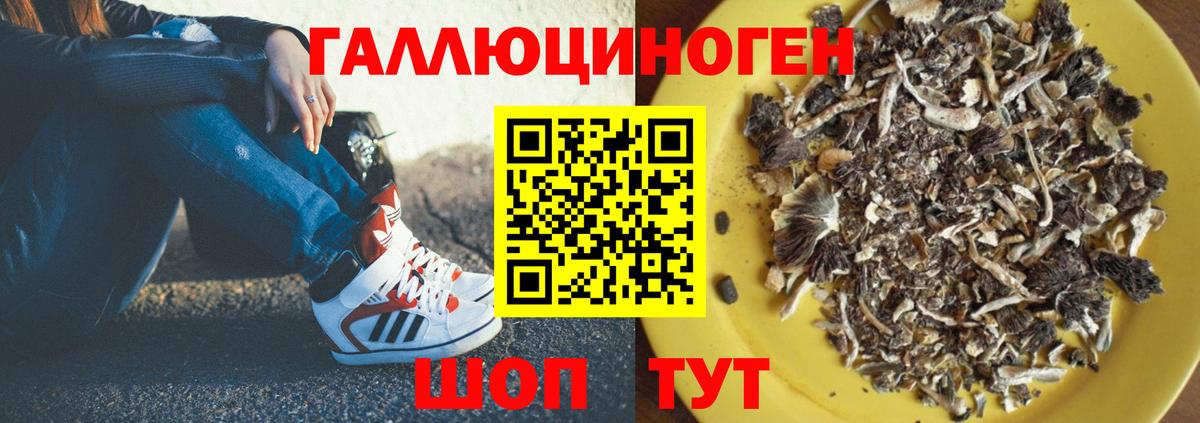 Псилоцибиновые грибы Psilocybe  Вход с VPN  Галлюциногенные грибы Psilocybe  Южноуральск 